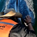 central turistica de tijuana