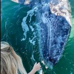 central turistica de tijuana