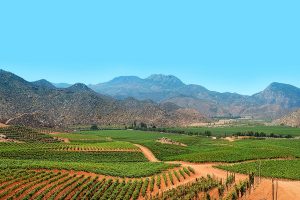 central turistica de tijuana