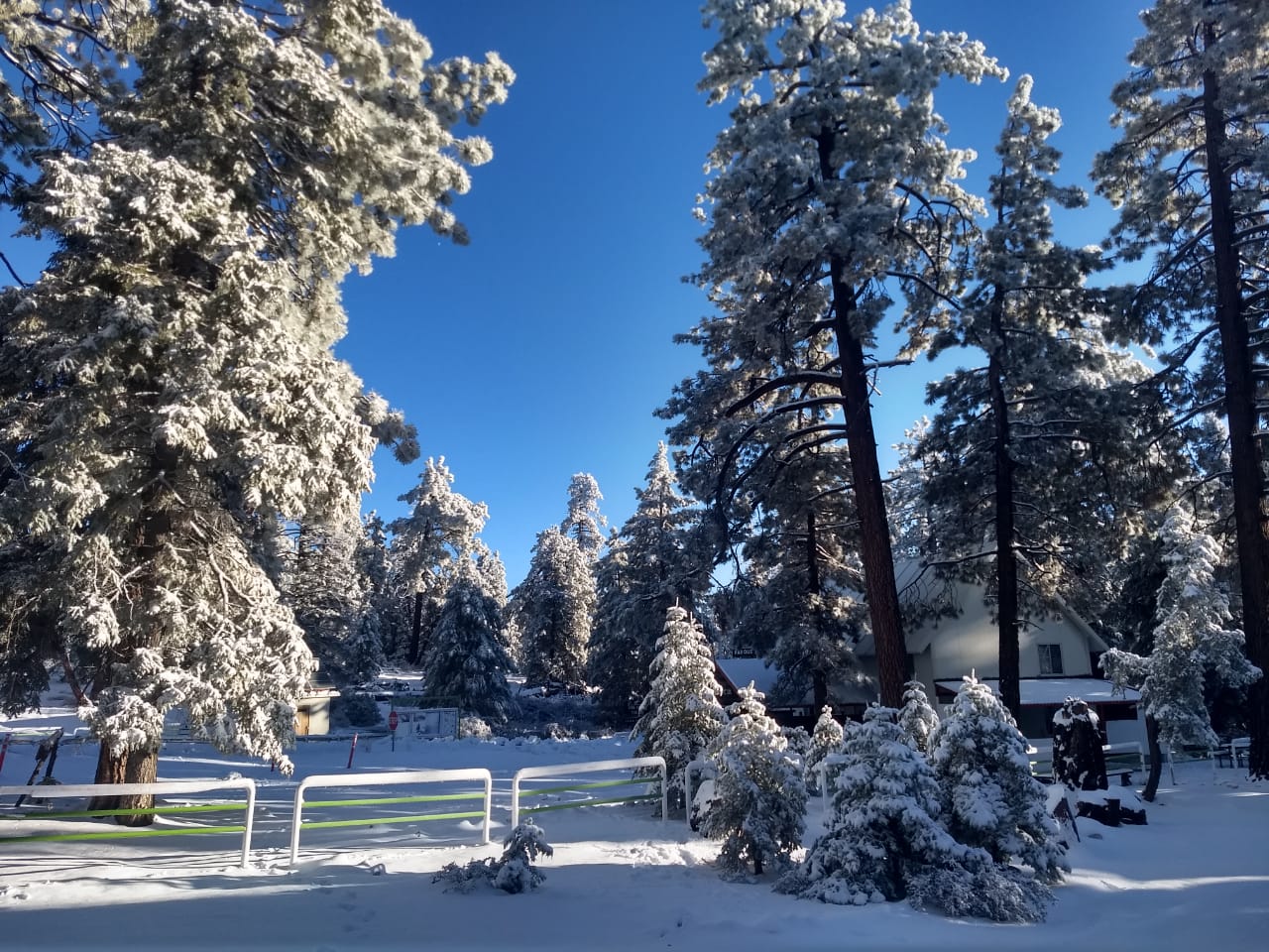 Tour a San Pedro Martir BC